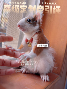 牵引绳分体多款松鼠狐獴丁满装饰款胸背外出高端定制纯手工蝴蝶结