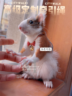 纯手工高端定制胸背两用