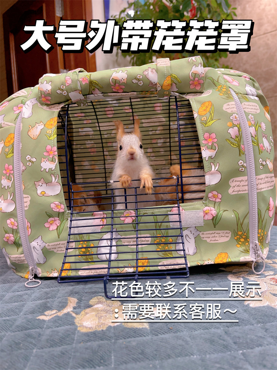小宠物外出行外带笼大号手提笼子用品笼罩亚克力窝蜜袋鼯松鼠飞鼠