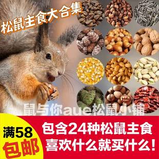 松飞鼠主粮食物套餐合集磨牙坚果啃咬红松塔籽大榛碧根巴旦木瓜子
