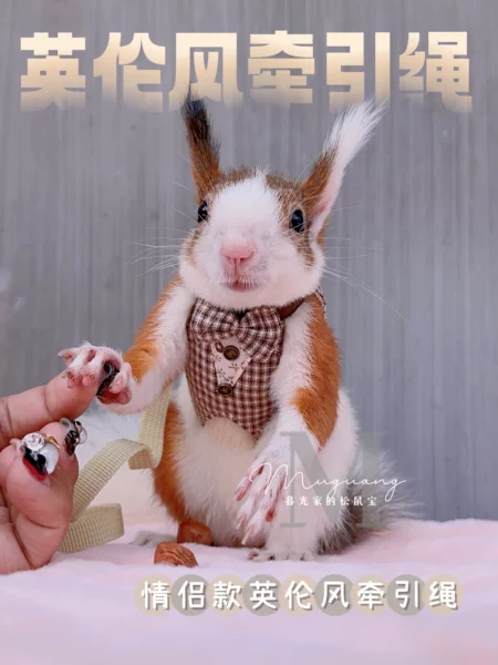 Товары от 老鼠和你去松鼠店