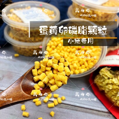 蜜袋鼯松鼠花枝仓鼠蛋黄卵磷脂