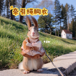 松鼠豚鼠狐獴外出牵引绳胸背衣服绳子可定制衣服安全外出衣服绳