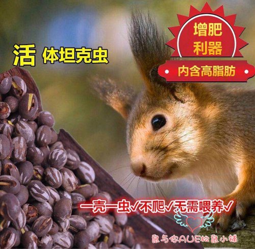 松鼠飞鼠蜜袋鼯刺猬花枝鼠增肥长胖高蛋白坦克虫互动利器零食增肥 - 封面