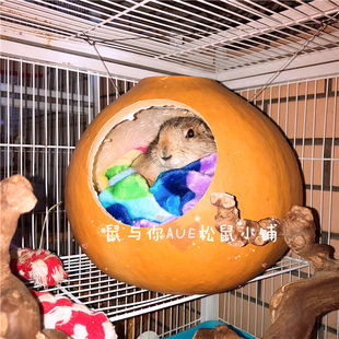 松鼠黑尾土拨鼠龙猫特色葫芦窝耐啃咬天然葫芦窝四季 通用保暖实惠