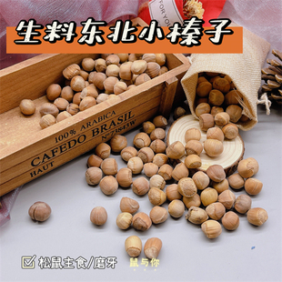 长白山小榛子一斤装 松鼠主食小榛子 肉厚饱满松鼠主食 便宜 实惠