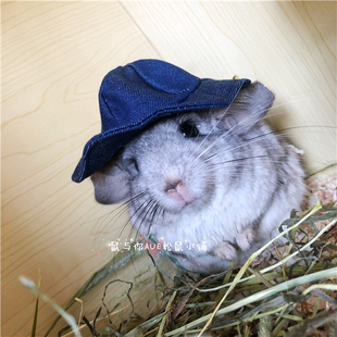 龙猫帽子刺猬黑尾土拨鼠装饰帽子龙猫饰品牛仔帽子 纯手工制作