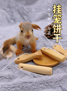 松鼠仓鼠磨牙棒饼干挂笼小宠物花枝黑尾土拨鼠爱吃奶味啃咬零食物