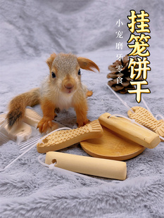 松鼠仓鼠磨牙棒饼干挂笼小宠物花枝黑尾土拨鼠爱吃奶味啃咬零食物