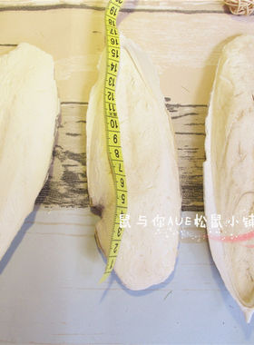 小宠物用品墨鱼骨松仓鼠龙猫兔子荷兰猪花枝天然补钙磨牙啃咬玩具