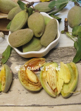 新鲜青皮巴旦木坚果现货松飞鼠黑尾鹦鹉互动优质主粮零食物小宠物