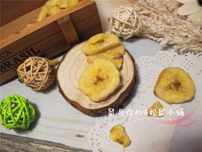 【鼠与你】龙猫仓鼠豚鼠龙猫兔子