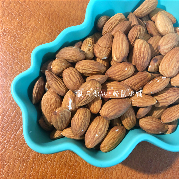 【鼠与你】生料松鼠黑尾土拨鼠互