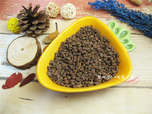 魔王雪地等松鼠尝鲜试吃野生零食零嘴天然老果自然晒干 鼠与你