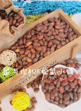 【鼠与你】新货精品进口俄罗斯雪松子500g松鼠主食皮薄肉满松鼠