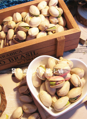 生料未加工开心果大开口好剥天然不漂白主粮零食物50g松鼠坚果