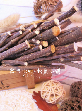 【鼠与你】苹果枝龙猫松鼠荷兰猪豚鼠兔子磨牙苹果枝  磨牙枝100g