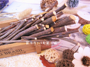 磨牙枝100g 苹果枝龙猫松鼠荷兰猪豚鼠兔子磨牙苹果枝 鼠与你