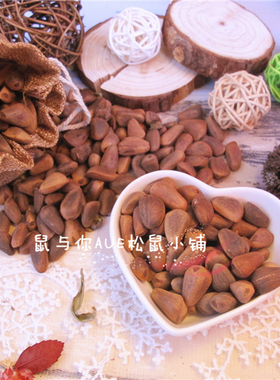 红松子未加工生料松鼠主粮食物新鲜长白山自然野生松子籽新货磨牙