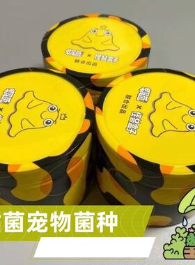 黏菌宠物菌种粘菌迷宫饲养套装多头绒泡菌核学生儿童生物实验培养