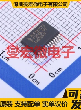 PCF8575TS/1,118 SSOP-24-208mil IO接口扩展器芯片IC