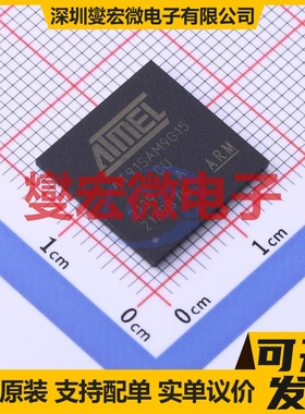 AT91SAM9G15-CU LFBGA-217 MCU/MPU/SOC微处理器控制器