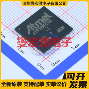 AT91RM9200-CJ-002 BGA-256 MCU/MPU/SOC微处理器控制器