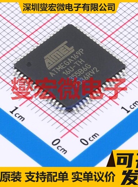 ATMEGA169P-16AU TQFP-64(14x14) MCU/MPU/SOC微处理器控制器