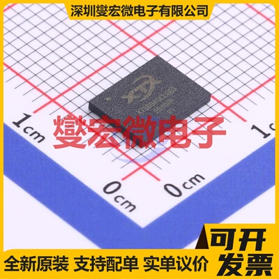 XTSD04GCLGEGA LGA-8(6x8) 4Gbit NAND FLASH存储器芯片IC