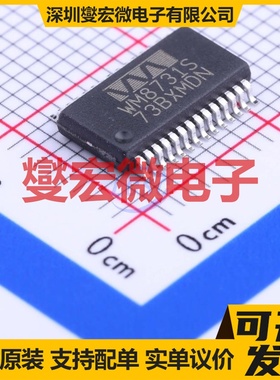WM8731SEDS/RV SSOP-28-208mil 特殊用途逻辑芯片IC