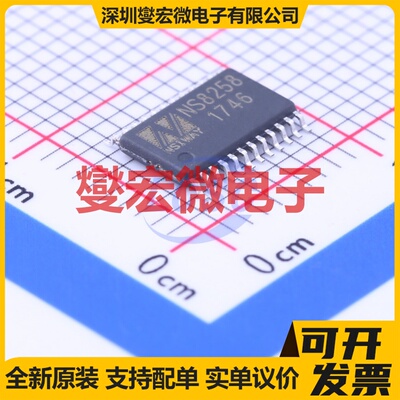 NS8258 ETSSOP-24-EP ABD类功放音频放大器芯片IC