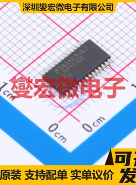 LMP90100MHX/NOPB HTSSOP-28 AFE模拟前端芯片IC