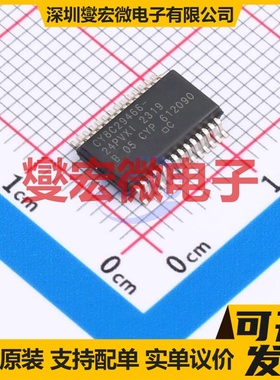 CY8C29466-24PVXI SSOP-28 MCU/MPU/SOC微处理器控制器