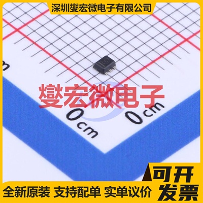 SN74LVC2G04DRLR SOT-5x3-6 反相器芯片IC