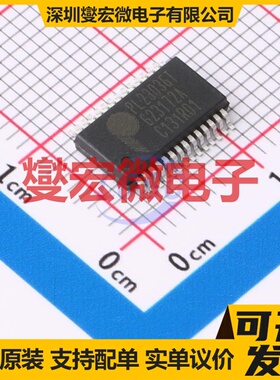 PL2303GT SSOP-28-208mil USB转换芯片IC