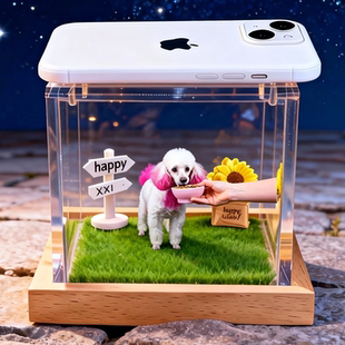 宠物全息数字屋定制ai宠物纪念可爱小狗