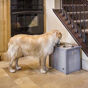 包邮ecoflex宠物狗粮餐桌中大型犬双碗储粮桶秋田金毛