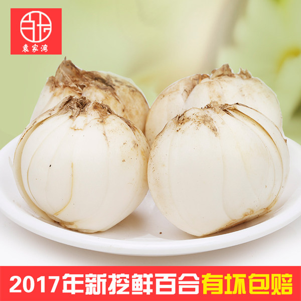 兰州特产 百玉 6年生袁家湾鲜百合 500g 优惠券折后¥19.8包邮(¥24.8-5) 兰州特产 百玉 6年生袁家湾鲜百合 500g 优惠券折后¥19.8包邮(¥24.8-5)