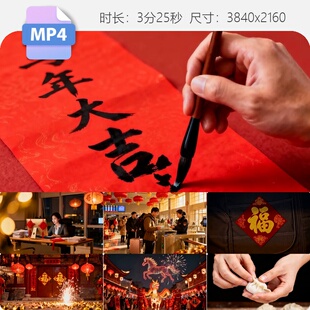 高清春节回家过年团圆春运火车庙会灯笼舞龙舞狮福字烟花视频素材