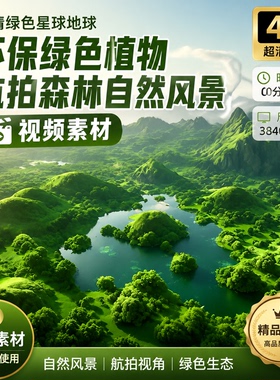 高清绿色星球地球环保绿色植物航拍森林自然风景境树视频素材