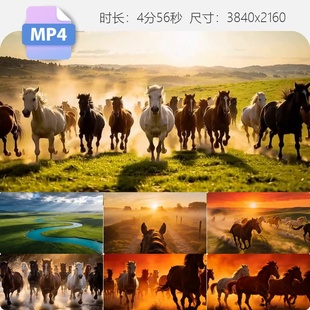 高清2026马年骏马奔腾奔跑航拍马群万马奔腾天马浴河策马视频素材