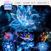 高清抽象视觉艺术舞美唯美花瓣花朵盛开绽放透明led背景视频素材