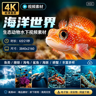 高清4K海洋海底世界生态动物水下鱼类珊瑚群龟豚鲨螃蟹视频素材