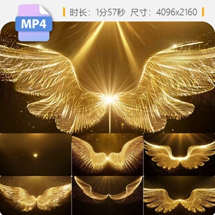 高清大气金色唯美粒子翅膀颁奖晚会合集LED舞台背景视频素材