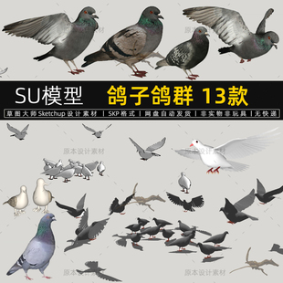 SU模型鸽子鸽群广场和平鸽白鸽信鸽鸟动物素材草图大师sketchup