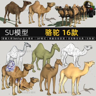 SU模型骆驼沙漠之舟动物骆驼队伍草图大师雕塑设计素材Sketchup