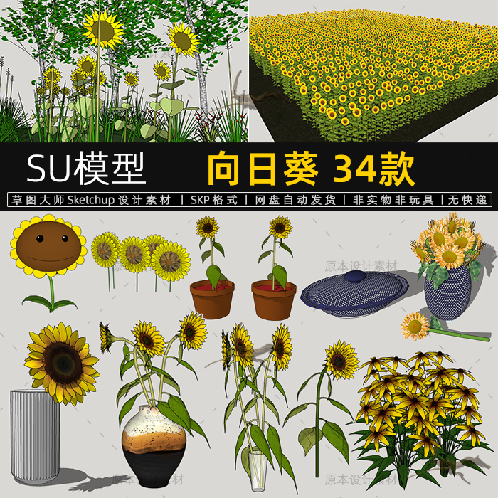 SU模型向日葵植物太阳花插花花瓶景观配景小品sketchup草图大师 商务/设计服务 设计素材/源文件 原图主图