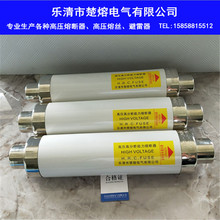 12KV 63A80A高压高分段能力限流熔断器 50A 10KV 楚熔XRNT1 SFLAJ
