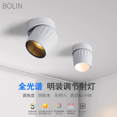 蓝牙mesh2.0明装射灯可调角度背景墙智能调光洗墙灯已接入米家APP