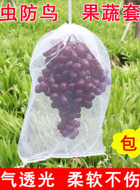 套葡萄水果套枇杷防虫防鸟白色纱网套袋透气透光防果蝇套树苗防虫
